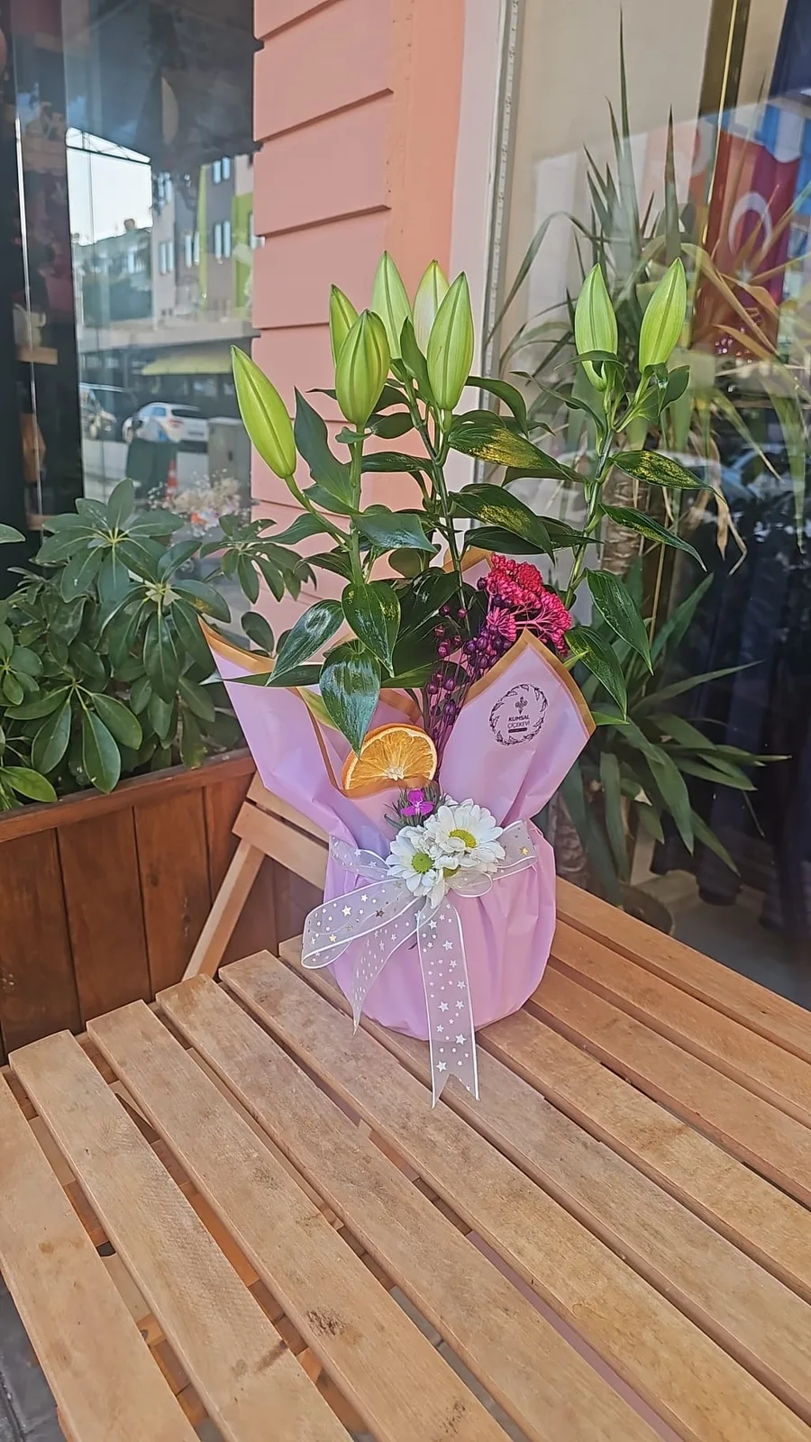 Saksıda Canlı Pembe Lilyum (Zambak)